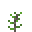 Acacia Bush Sapling.png