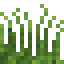 Grass 5.png