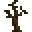 Emergent Jungle Tree Sapling.png