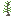 Acacia Tree Sapling.png