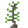 Acacia Tree Sapling.png