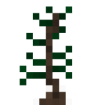 Pine Sapling.png