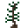 Pine Sapling.png