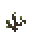 Bush Sapling.png