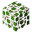 Acacia Leaves.png