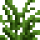 Jungle Grass.png