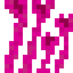 Pink Coral.png