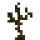 Jungle Sapling.png