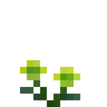 Green Chrysanthemum.png