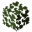 Aspen Leaves.png